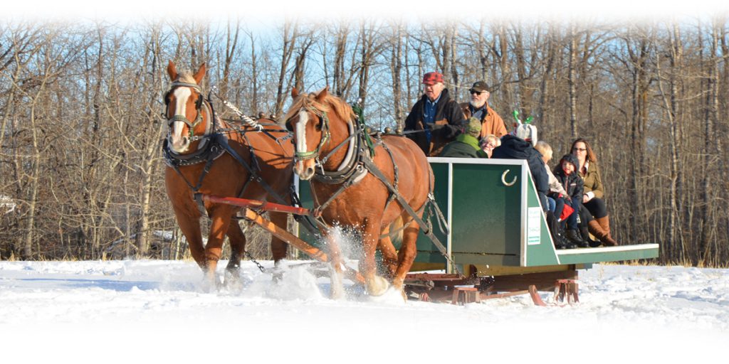 Christmas In the Heartland Josephburg Ag Society